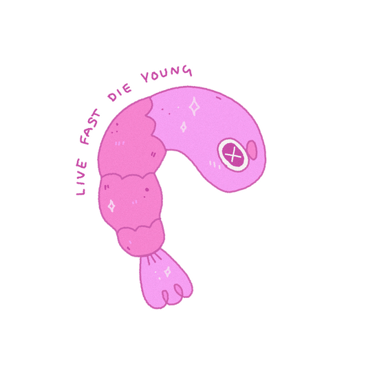 shrimp sticker!